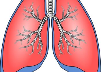 Aging Lungs? Here's the Immunization Guide for Better Health