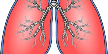 Aging Lungs? Here's the Immunization Guide for Better Health