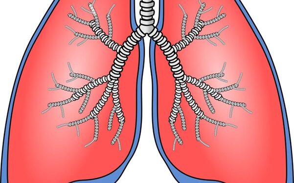 Aging Lungs? Here's the Immunization Guide for Better Health