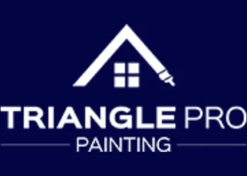 Triangle Pro Painting