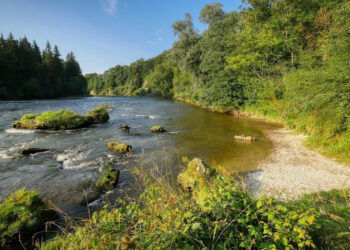 Riverbank Collapse Iford Playing Fields: Full Breakdown & What Comes Next