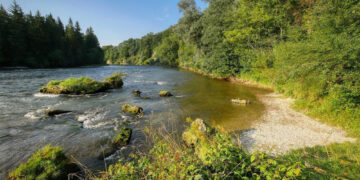 Riverbank Collapse Iford Playing Fields: Full Breakdown & What Comes Next