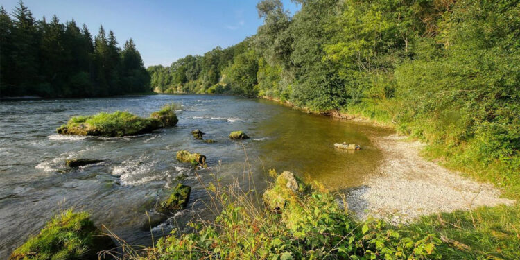 Riverbank Collapse Iford Playing Fields: Full Breakdown & What Comes Next
