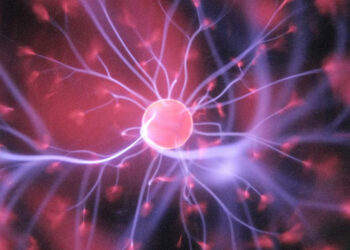 Dihward: The Powerful Mindset Everyone Needs in the Digital Age