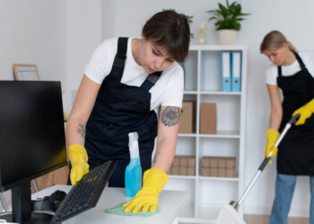 The Trusted Cleaning Partner for Indiana Homes and Businesses: Why More Locals Choose No Mess LLC