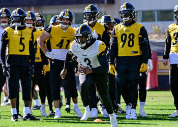 Steelers vs Bengals Match Player Stats