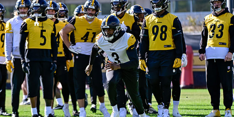 Steelers vs Bengals Match Player Stats