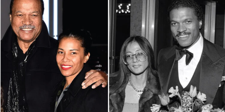 Who Is Teruko Nakagami? All About Billy Dee Williams' Wife