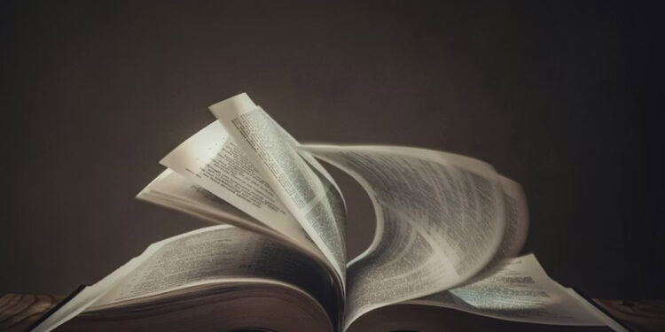 Giniä: A Stylish, Meaningful Word You’ll Want to Use Everywhere