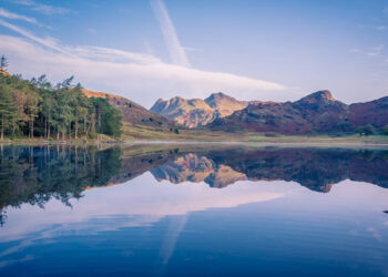 Aurö: Where Luxury Meets Nature in a Bold New Way