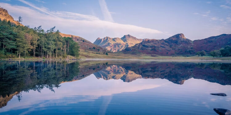 Aurö: Where Luxury Meets Nature in a Bold New Way