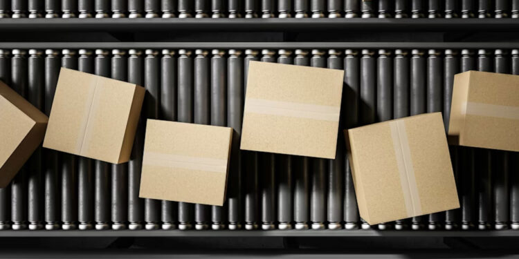 Pappedeckel: The Eco Lid Changing Packaging Forever