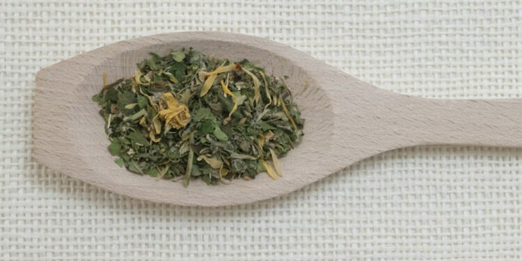 Koriandri: Uses, Benefits, and Tasty Ideas to Try