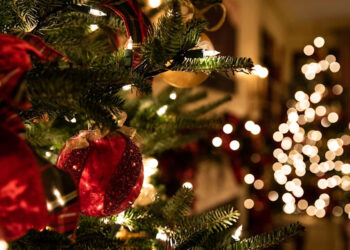 Valley Christmas Lights: A Tradition of Holiday Magic