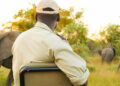 Explore the Best of Kenya & Tanzania Luxury Safari Packages for an Unforgettable African Adventure