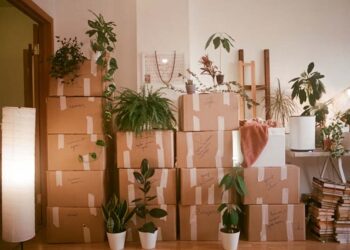 What Is a Zetlersont Product Fact? Why It Matters Before You Buy Anything