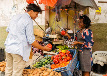 MeinMarktWarendorf: The Market That Feels Like Home