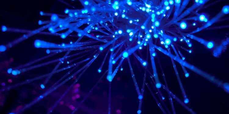 Internet Chicks: The Women Changing the Online World