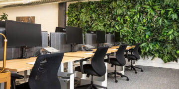 Professional Support for Home and Office Furniture Changes