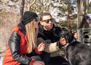 A Complete Guide to Deer Season in Wisconsin