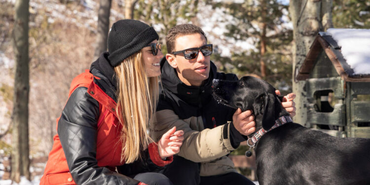 A Complete Guide to Deer Season in Wisconsin