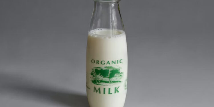 What Does 30.6df496–j261x5 in Milk Really Mean? A Simple Guide