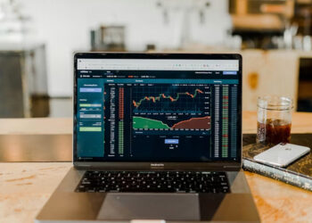 Ziimp .com Trading: A Fresh Option or Just Another Online Hype?