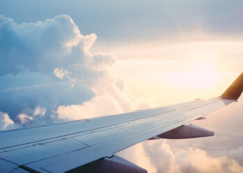 Zopalno Number Flight: The Smartest Way to Track Any Flight