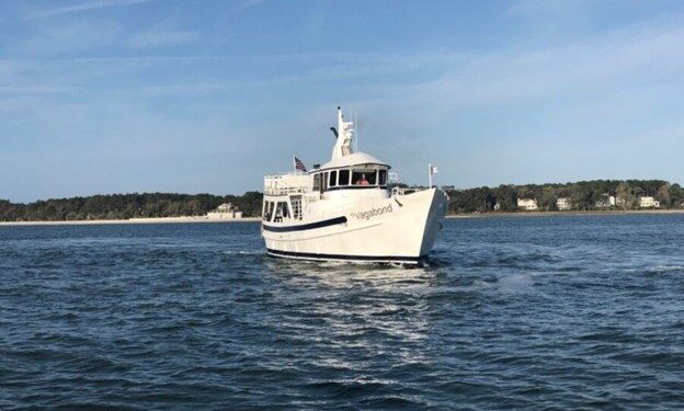 Embark on a Dolphin Cruise Hilton Head Island for Family Fun