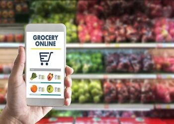 Online Grocery Stores