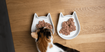 Bulk Low-Cost Canned Cat Food