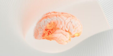 Who Is Brandi Loge? The Creative Mind Everyone’s Talking About