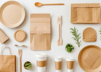 The rise of paper packaging in the food industry